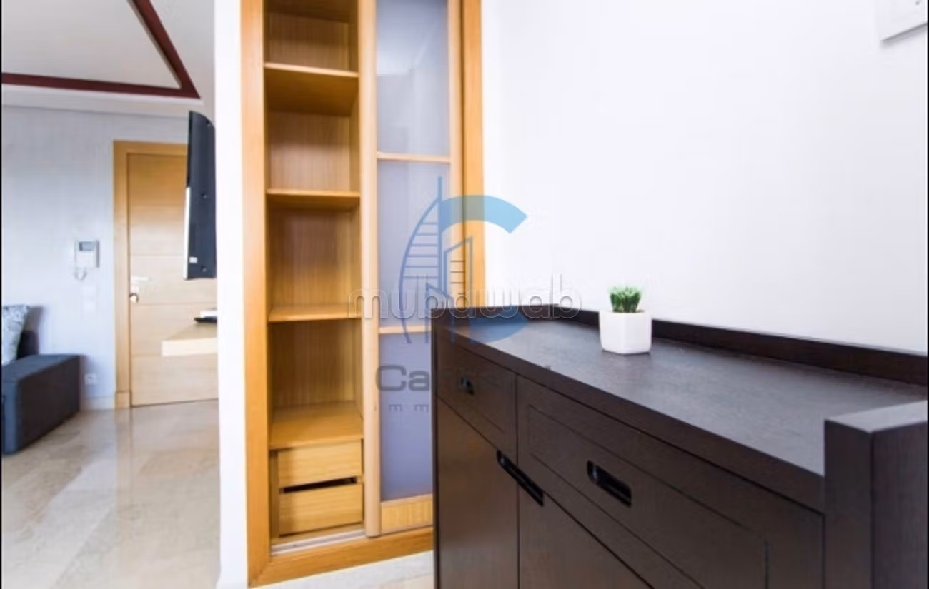 Location magnifique studio palmier