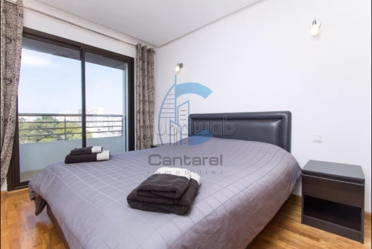 Location magnifique studio palmier