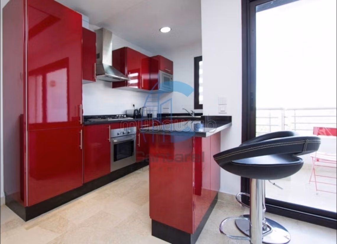 Location magnifique studio palmier