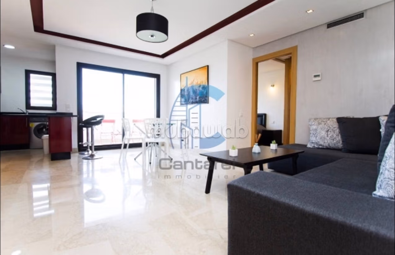 Location magnifique studio palmier