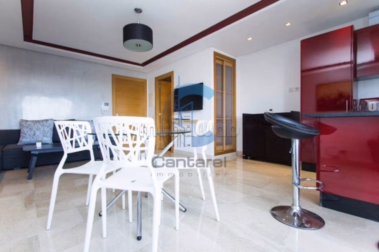 Location magnifique studio palmier