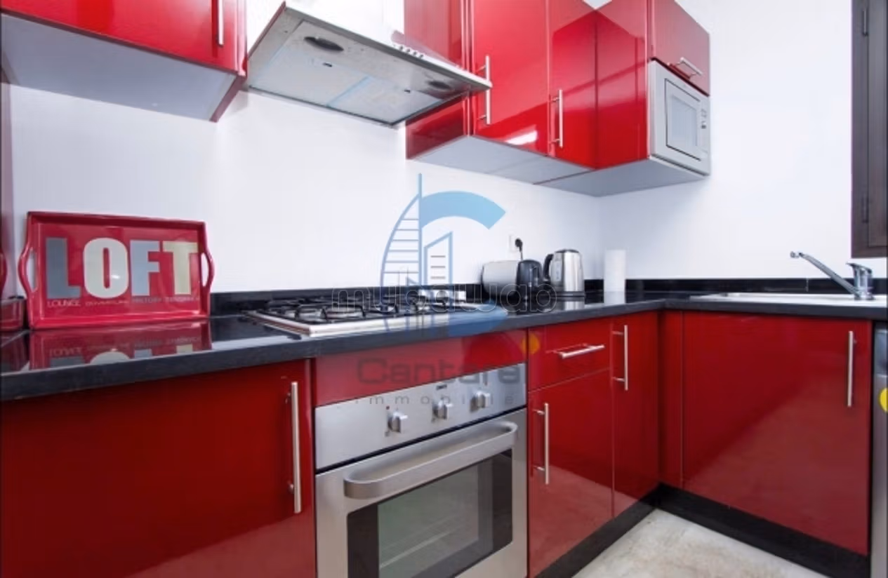 Location magnifique studio palmier