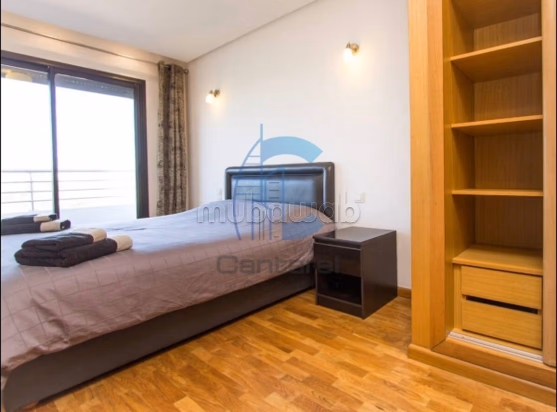 Location magnifique studio palmier