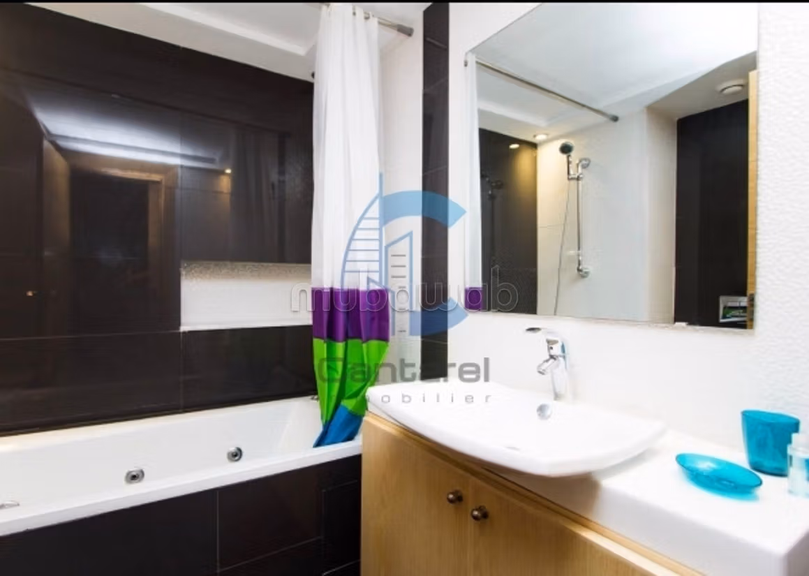 Location magnifique studio palmier