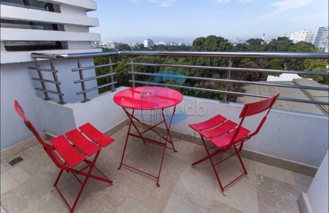Location magnifique studio palmier