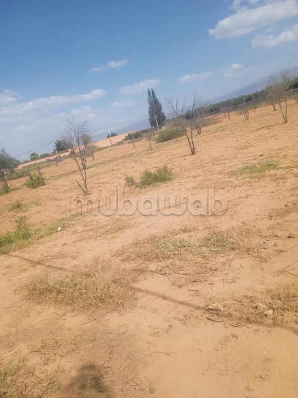 Terrain à la vente à Sidi Abdallah Ghiat. Surface totale 20000 m²