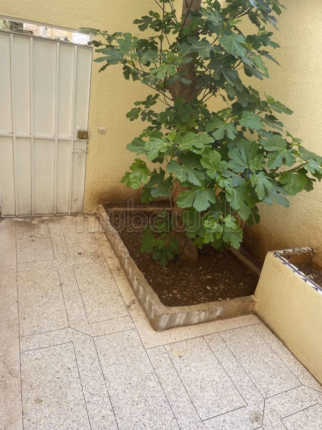 Vendita casa a Narjis B. 15 stanze. Terrazza e giardino