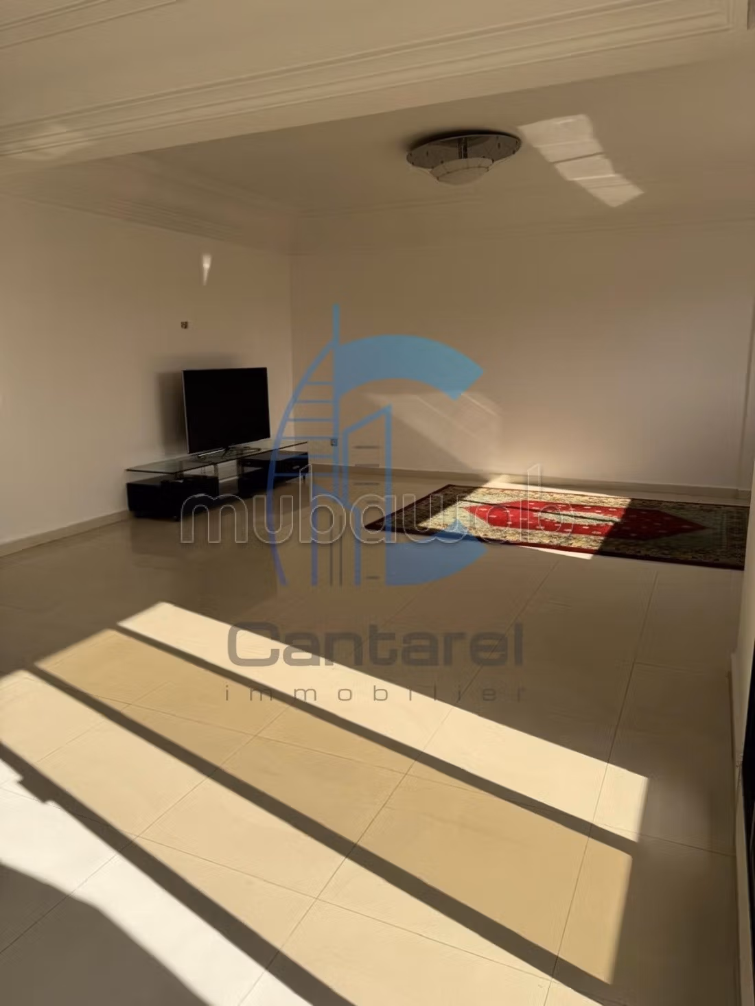 Magnifique appartement a la vente