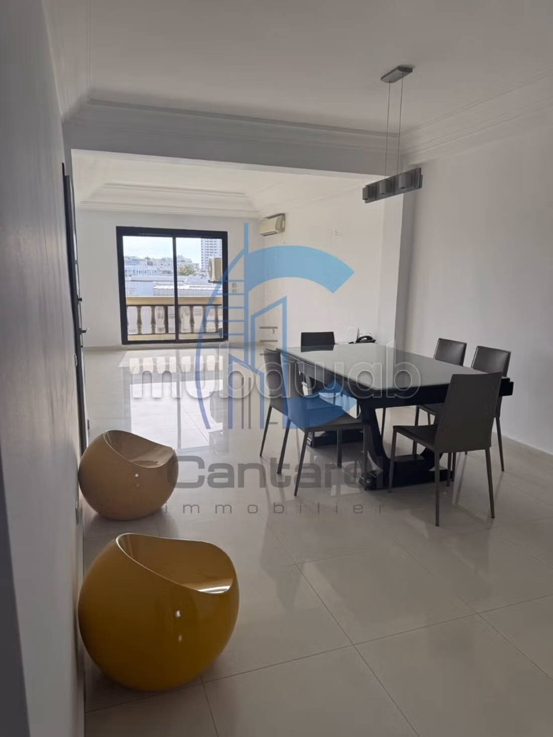 Magnifique appartement a la vente