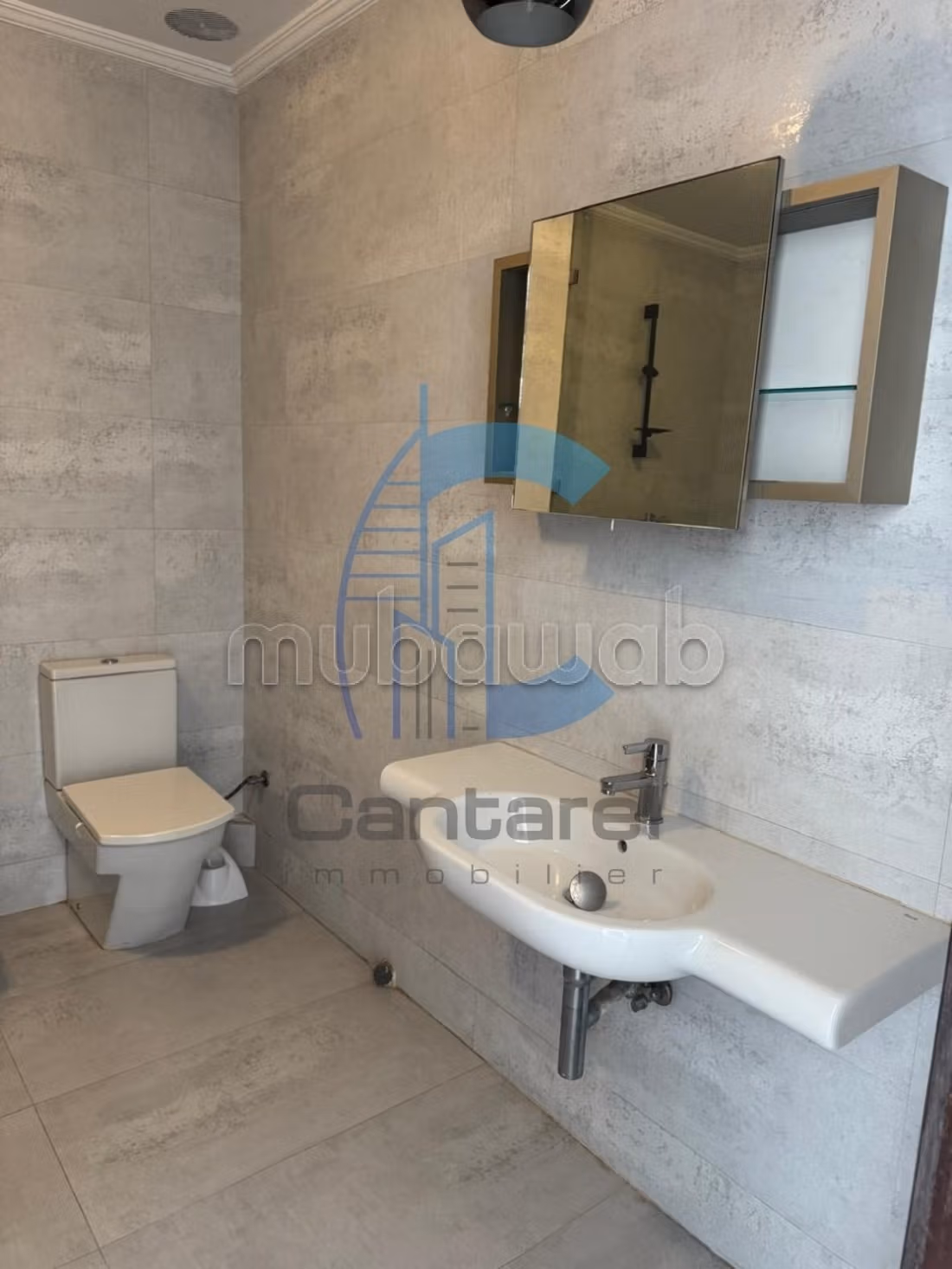Magnifique appartement a la vente