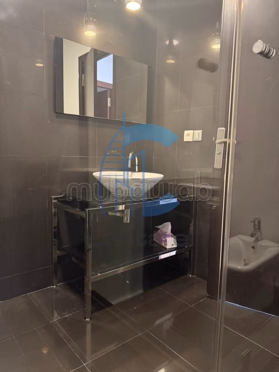 Magnifique appartement a la vente