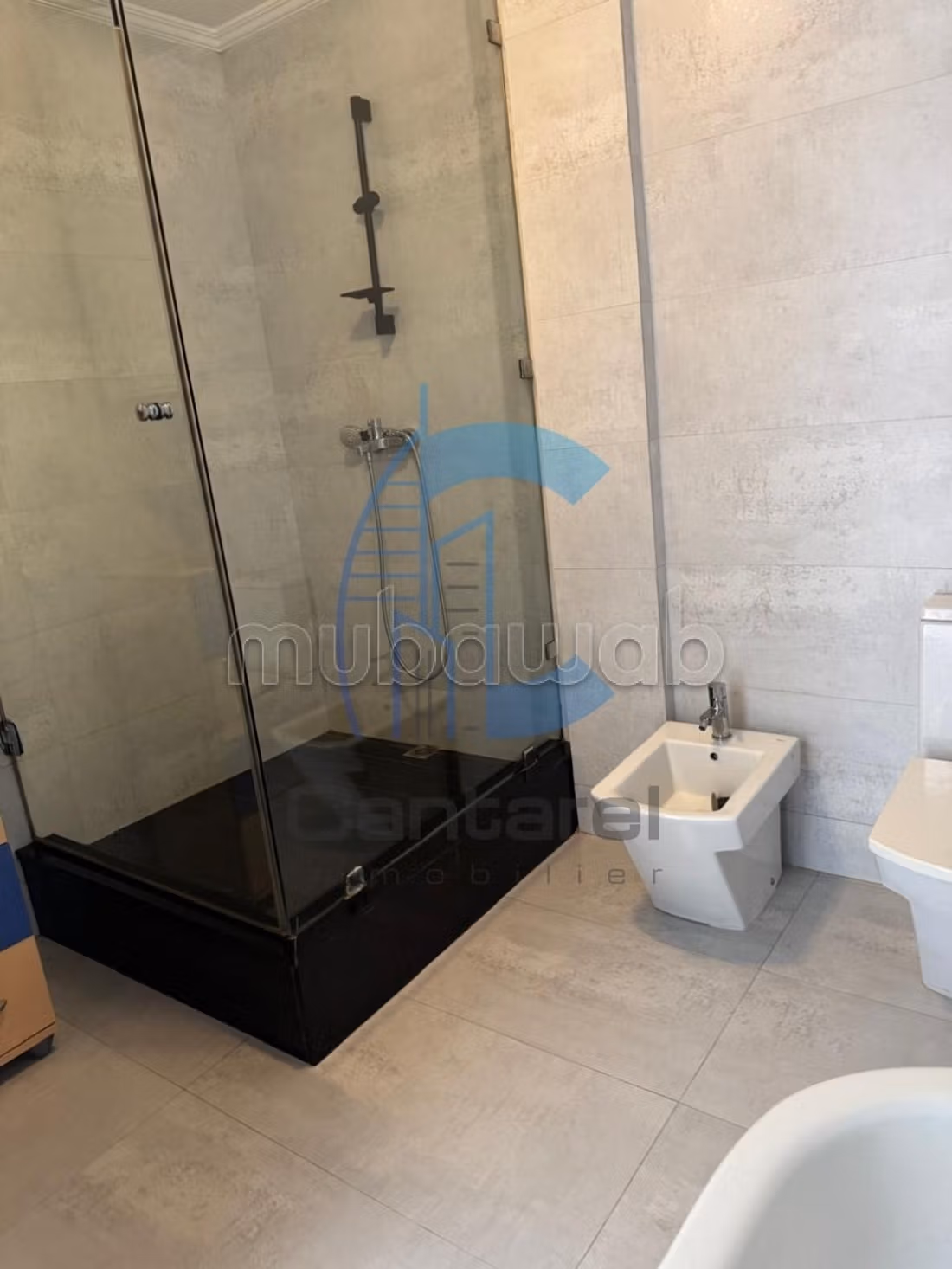 Magnifique appartement a la vente