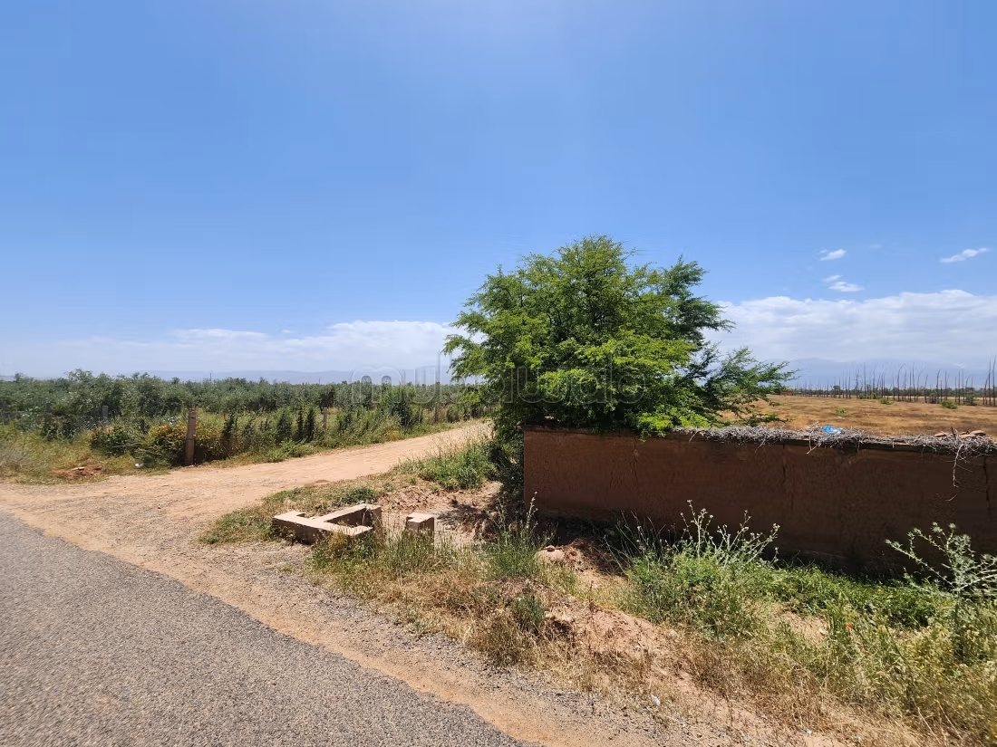 Terrain de 73 354 m² à vendre – Route de l’Ourika Km 20 – Marrakech