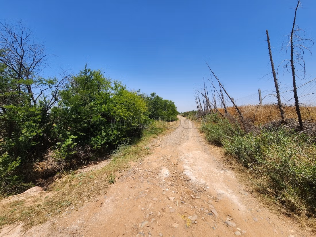 Terrain de 73 354 m² à vendre – Route de l’Ourika Km 20 – Marrakech