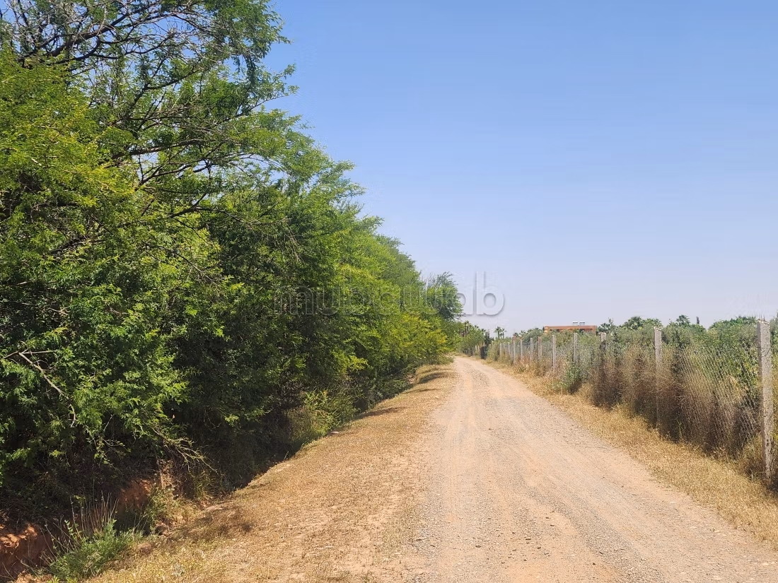 Terrain de 73 354 m² à vendre – Route de l’Ourika Km 20 – Marrakech
