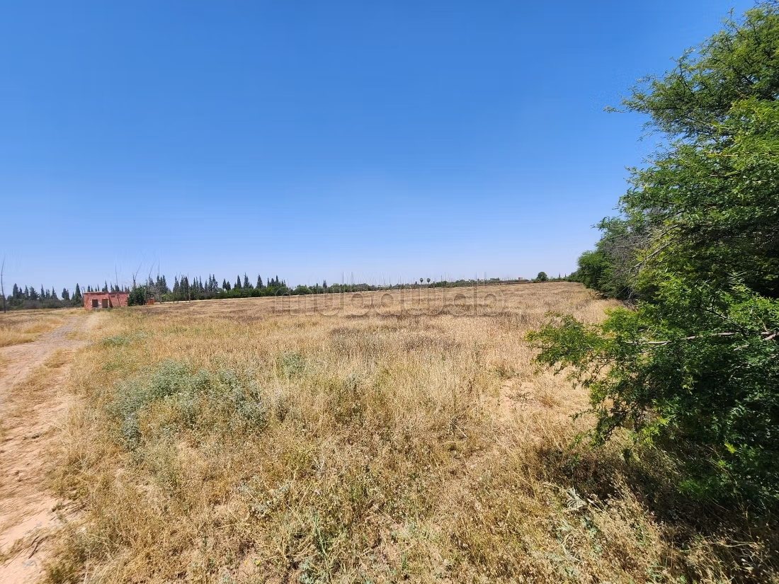 Terrain de 73 354 m² à vendre – Route de l’Ourika Km 20 – Marrakech
