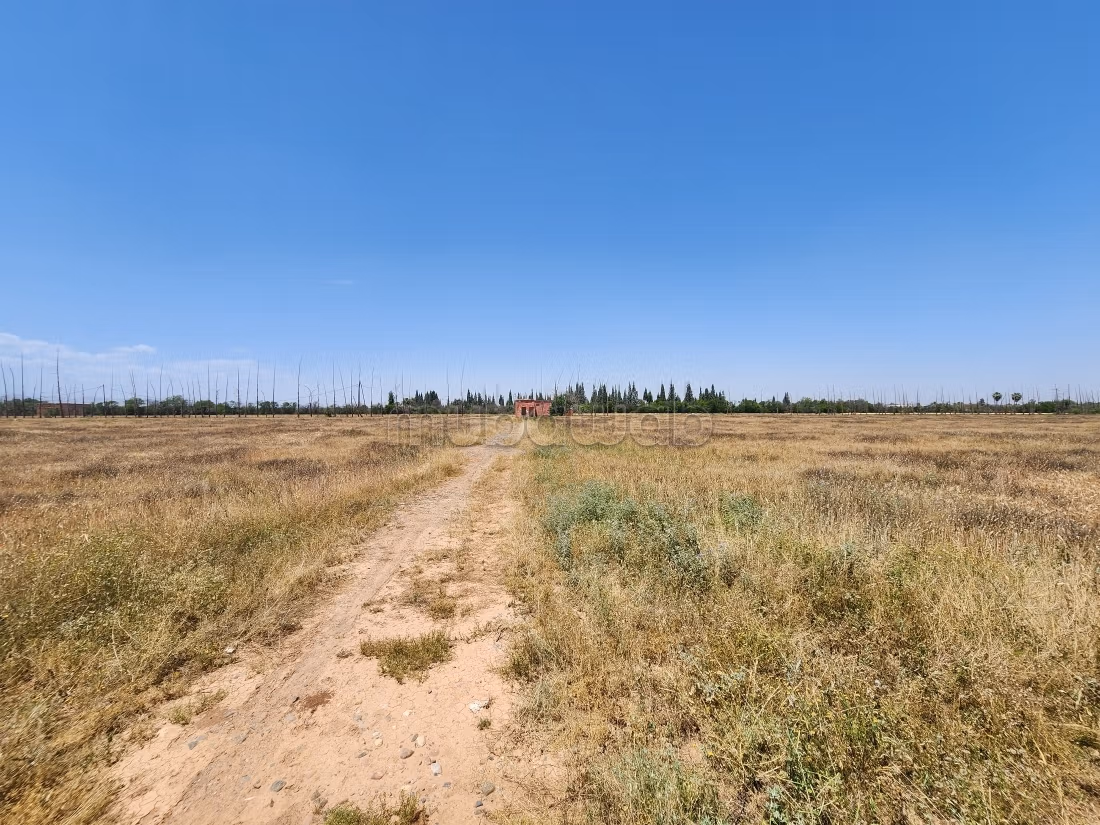 Terrain de 73 354 m² à vendre – Route de l’Ourika Km 20 – Marrakech