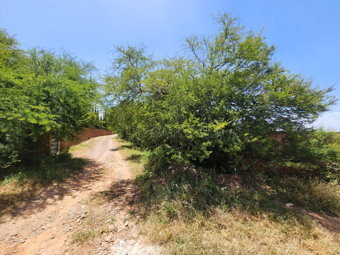 Terrain de 73 354 m² à vendre – Route de l’Ourika Km 20 – Marrakech