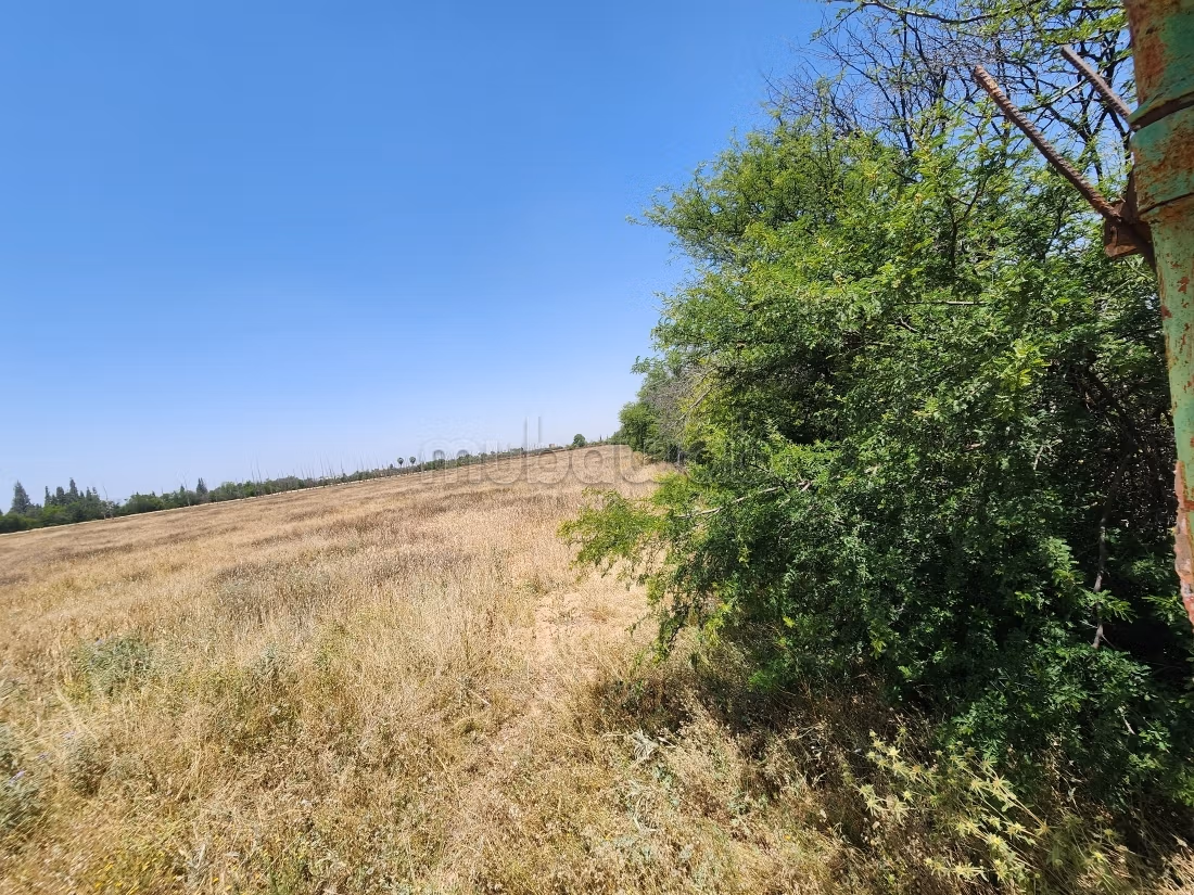Terrain de 73 354 m² à vendre – Route de l’Ourika Km 20 – Marrakech