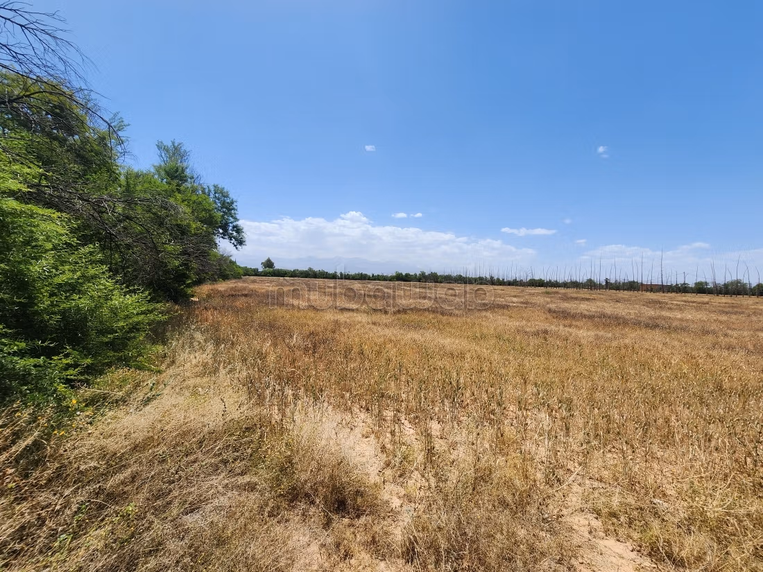 Terrain de 73 354 m² à vendre – Route de l’Ourika Km 20 – Marrakech