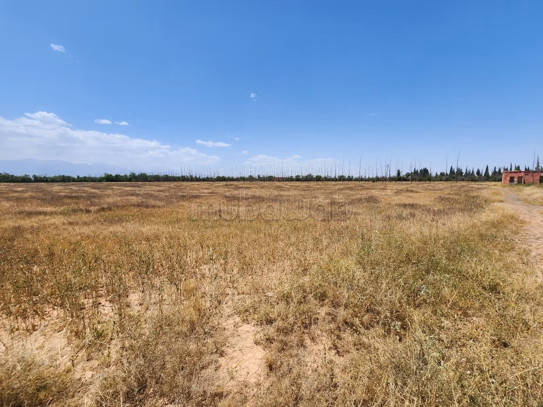 Terrain de 73 354 m² à vendre – Route de l’Ourika Km 20 – Marrakech