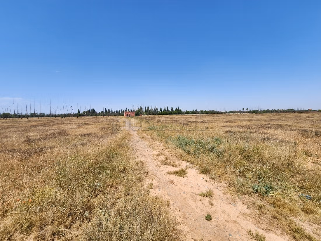 Terrain de 73 354 m² à vendre – Route de l’Ourika Km 20 – Marrakech