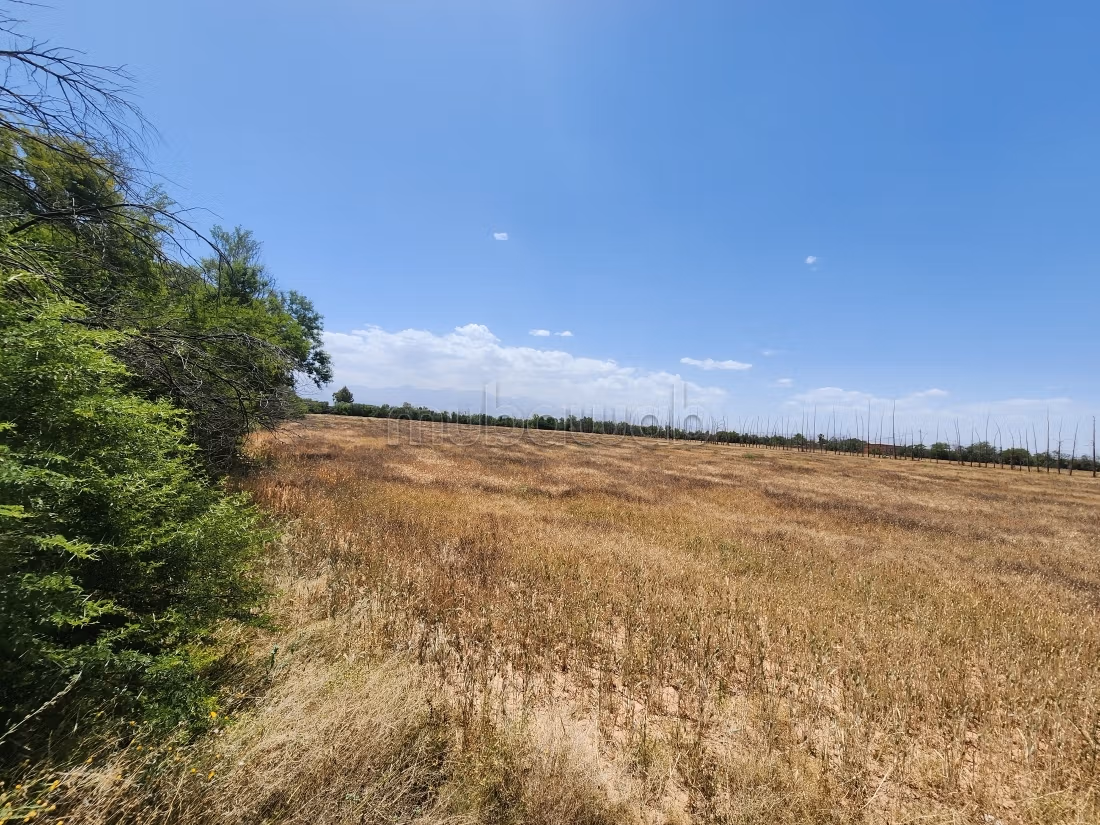 Terrain de 73 354 m² à vendre – Route de l’Ourika Km 20 – Marrakech