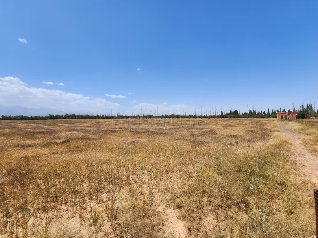 Terrain de 73 354 m² à vendre – Route de l’Ourika Km 20 – Marrakech