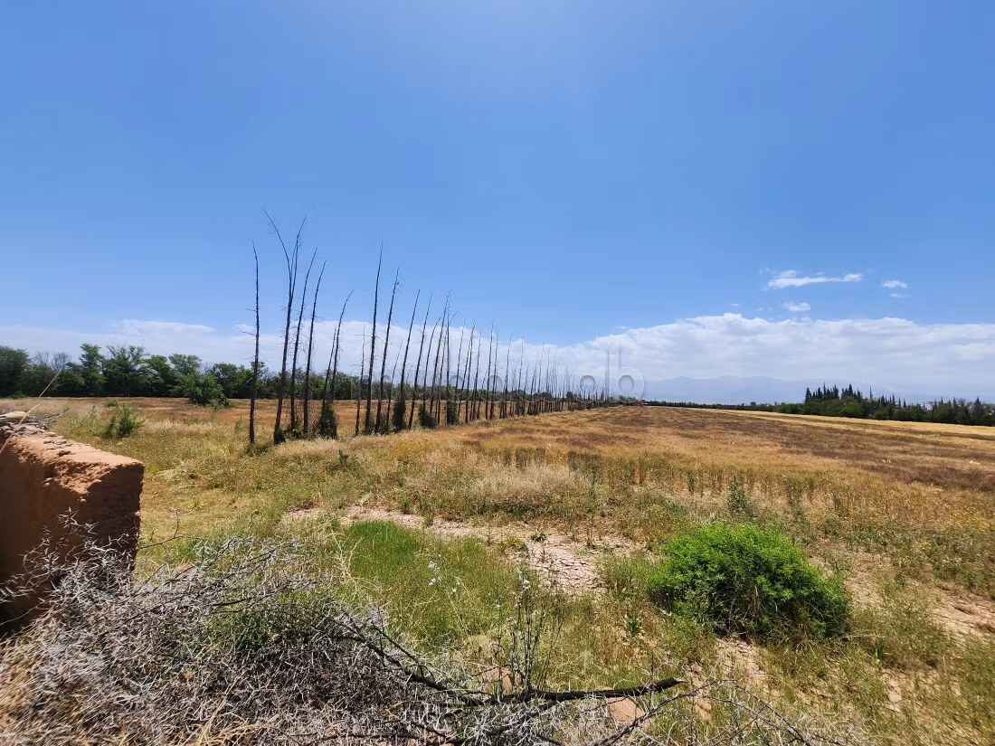 Terrain de 73 354 m² à vendre – Route de l’Ourika Km 20 – Marrakech