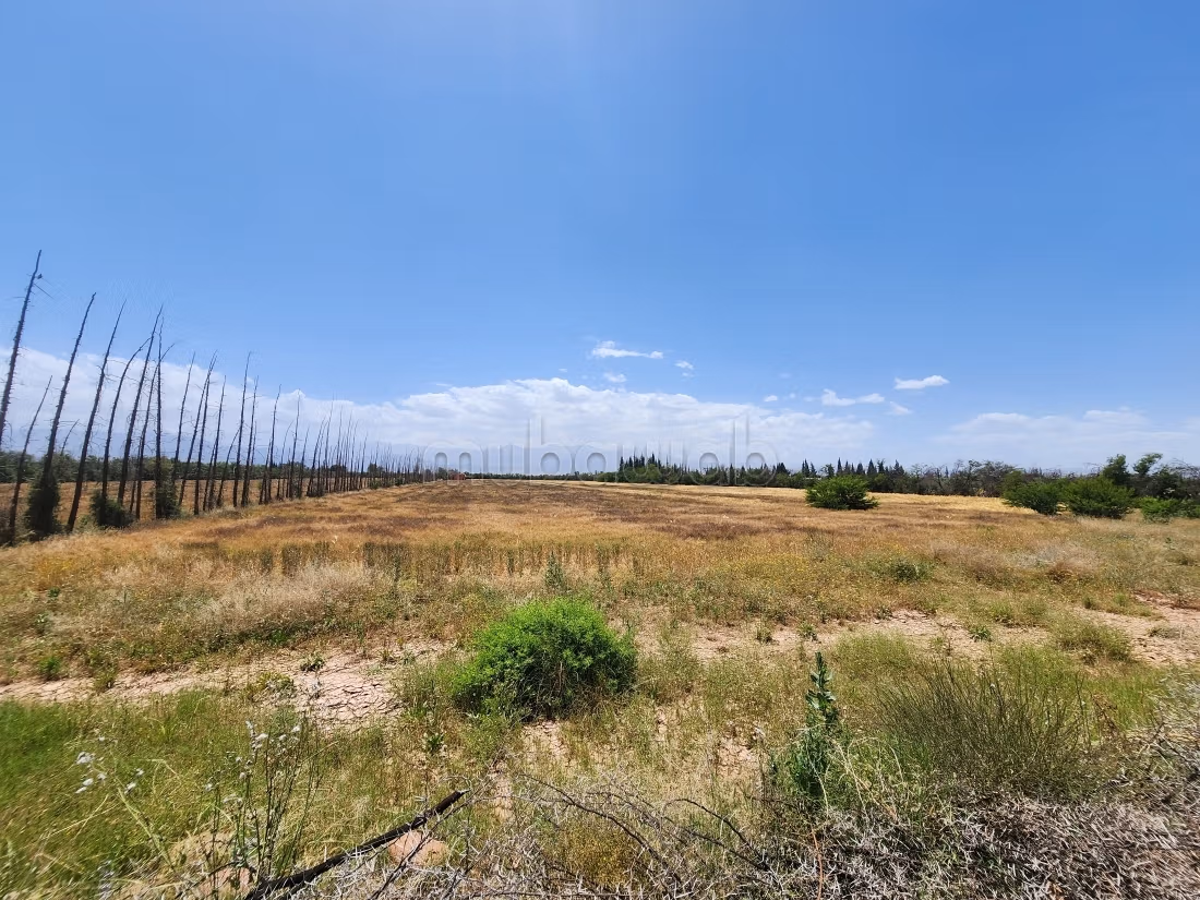 Terrain de 73 354 m² à vendre – Route de l’Ourika Km 20 – Marrakech