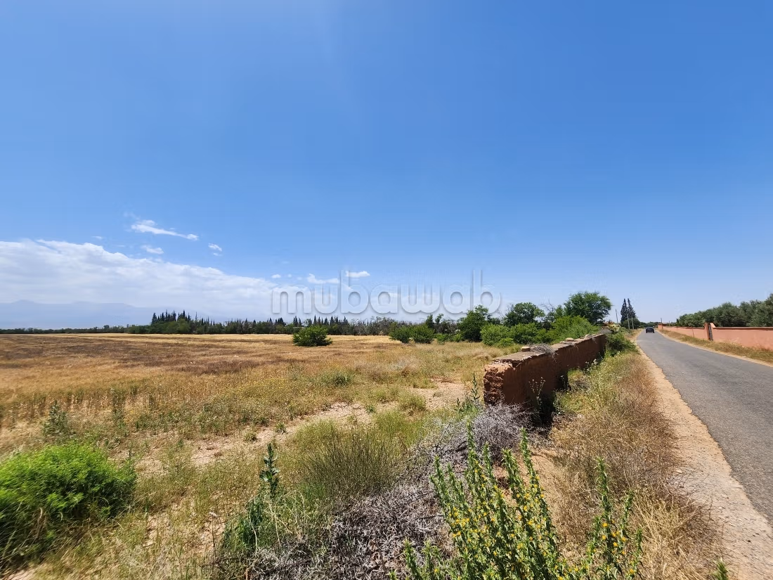 Terrain de 73 354 m² à vendre – Route de l’Ourika Km 20 – Marrakech
