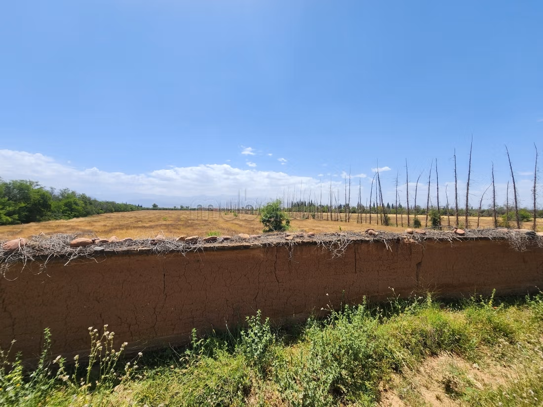 Terrain de 73 354 m² à vendre – Route de l’Ourika Km 20 – Marrakech