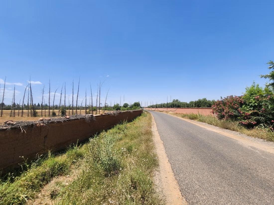 Terrain de 73 354 m² à vendre – Route de l’Ourika Km 20 – Marrakech