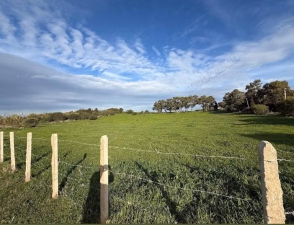 Prachtig terrein te koop in Ashqar. De totale oppervlakte is 40.000 m²