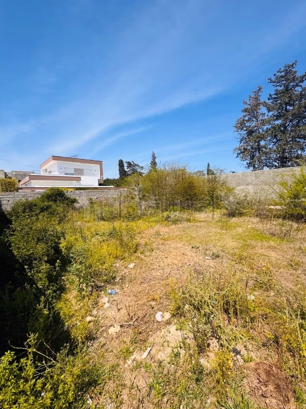 À vendre terrain a La soukra 