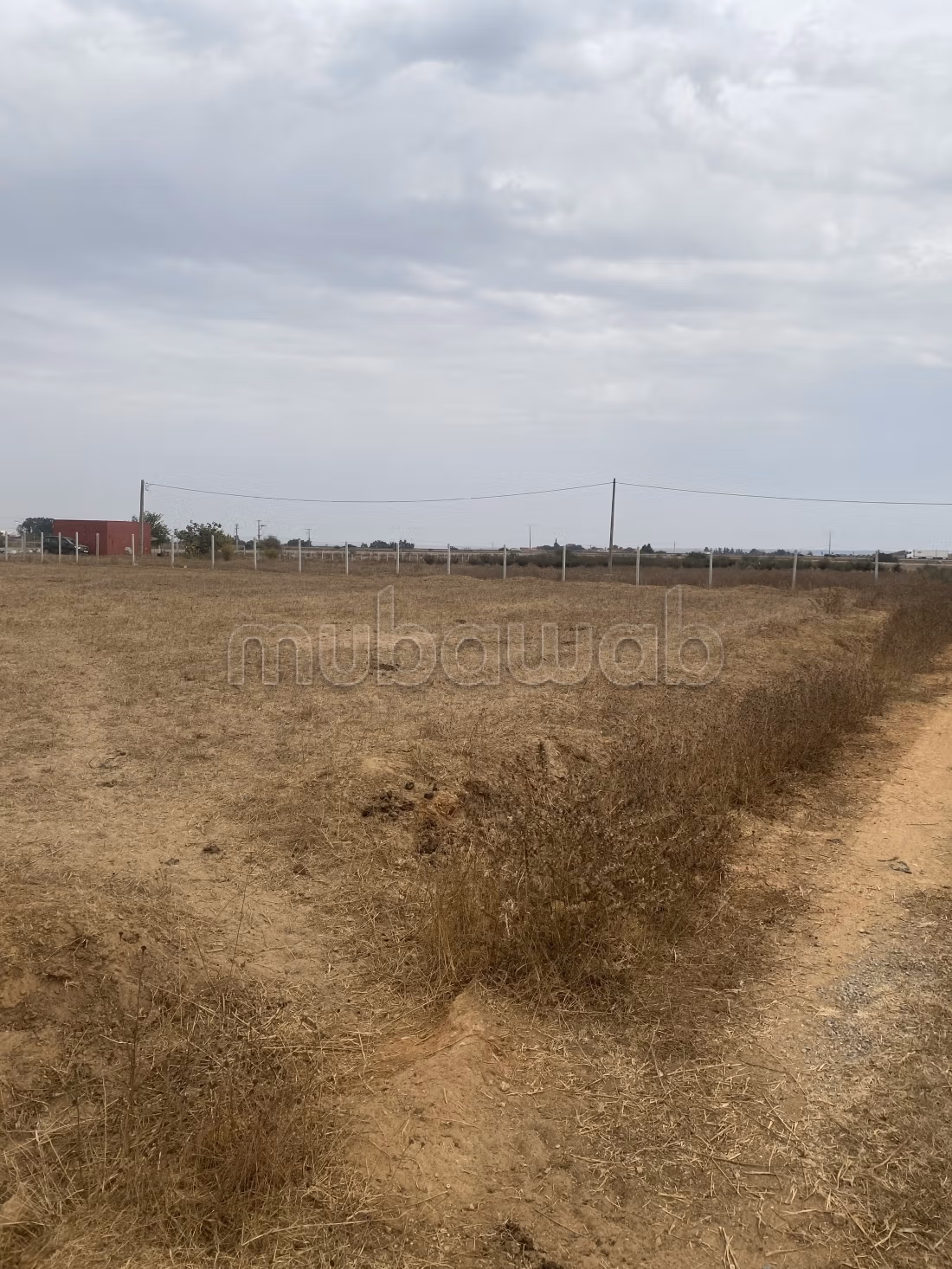 Terrain titré 1,75 Ha proche Rabat
