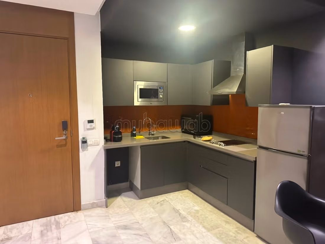 Superbo studio arredato con terrazza