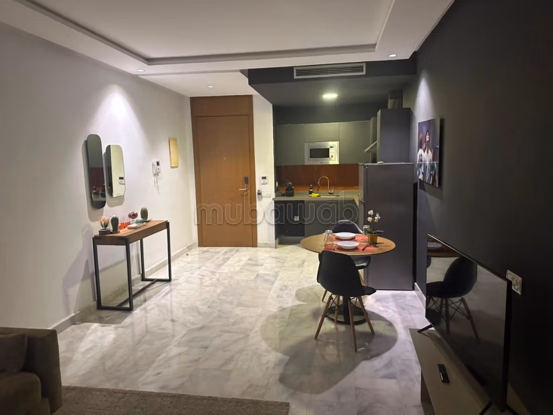 Superbo studio arredato con terrazza