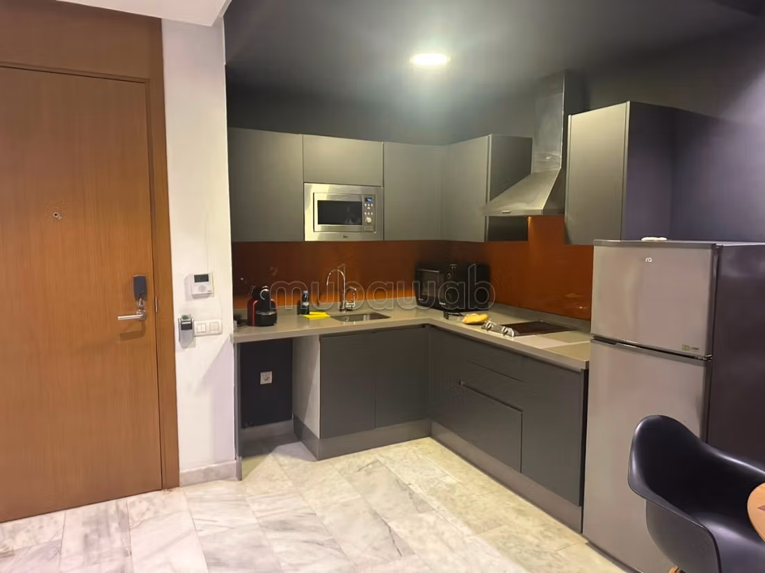 Superbo studio arredato con terrazza