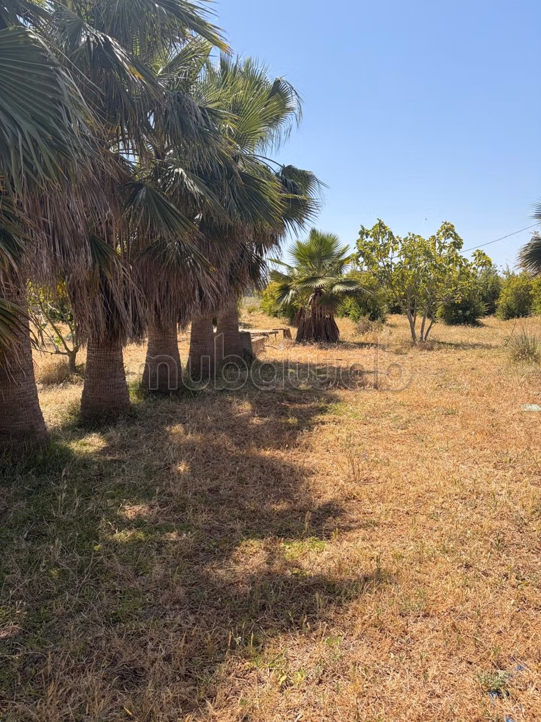 Agrarisch eigendom in Benslimane met uitzicht op het bos