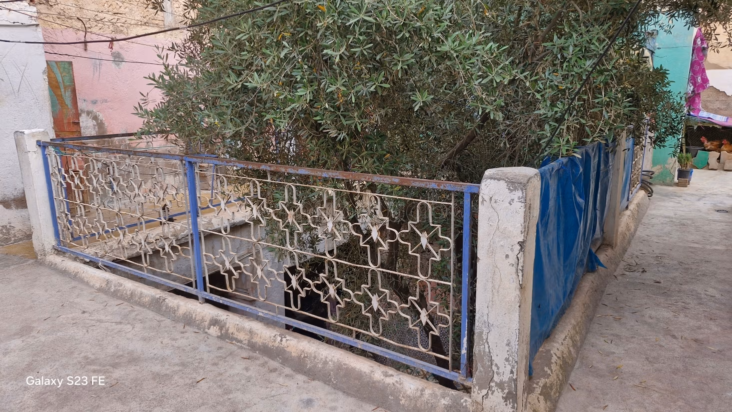 Groot Traditioneel Riad van 140 m² met Groot Potentieel