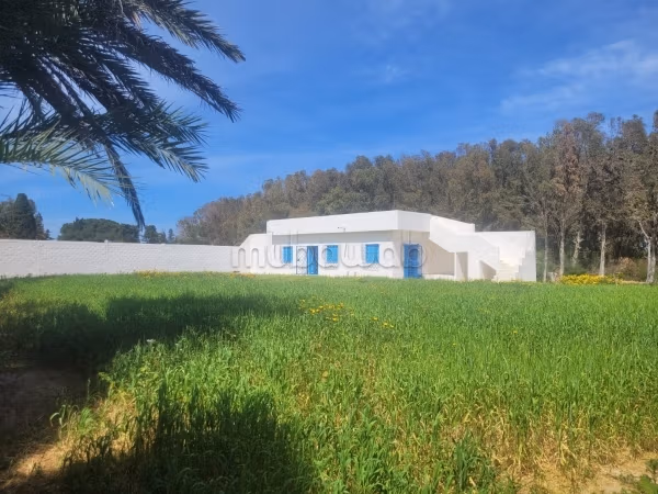 Beau 2p dans la forêt 80m2 500m de la mer