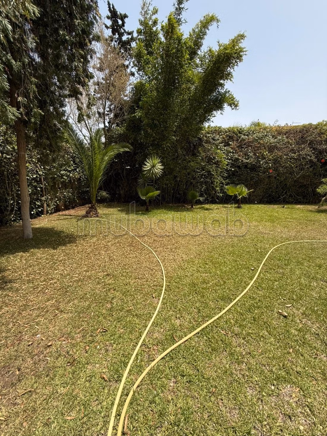 Affittare - Superba villa a OLM Souissi