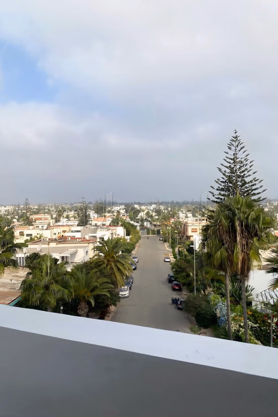 Studio meublé haut de gamme · vue villas · terrasse — 3