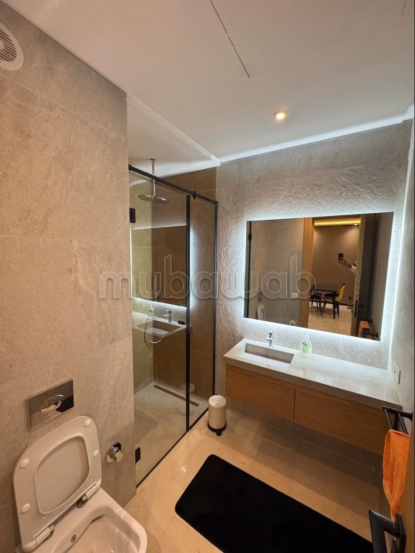 Beautiful apartment for rent in Oasis. 1 lovely bedroom. Satellite system and secured residence