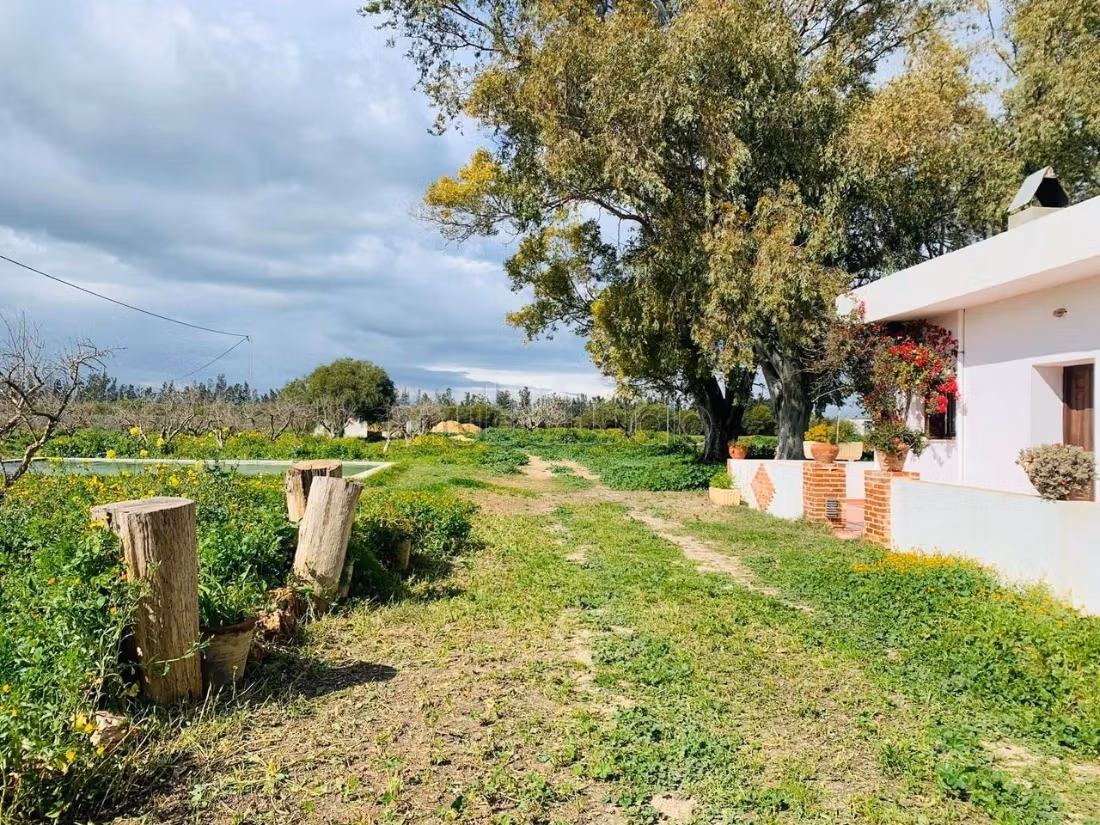 Ferme Vente Zaghouan Zaghouan Tunisie