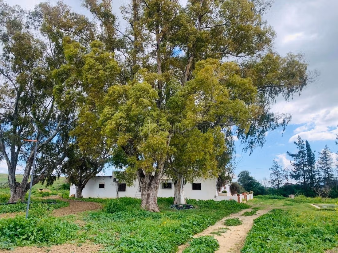 Ferme Vente Zaghouan Zaghouan Tunisie