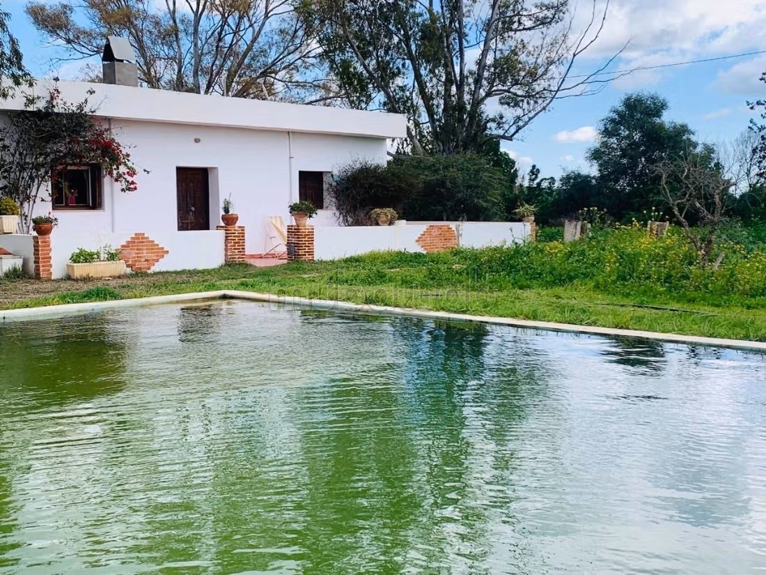 Ferme Vente Zaghouan Zaghouan Tunisie