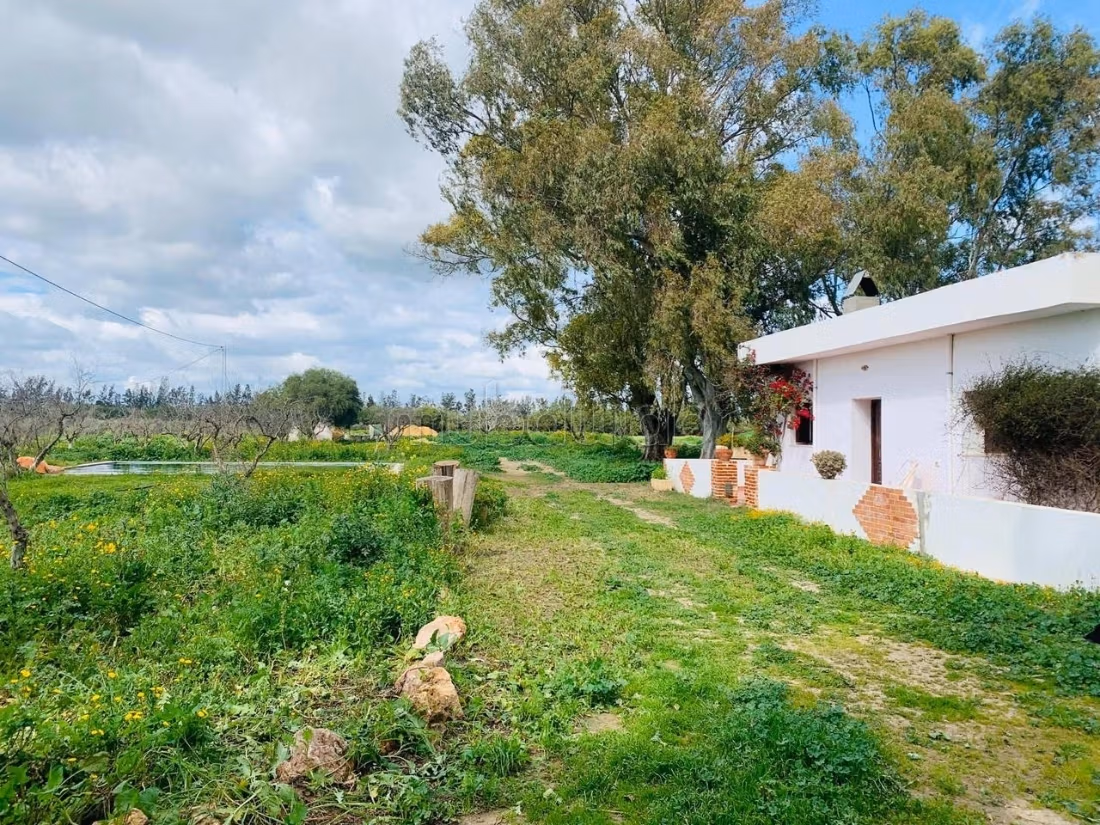 Ferme Vente Zaghouan Zaghouan Tunisie