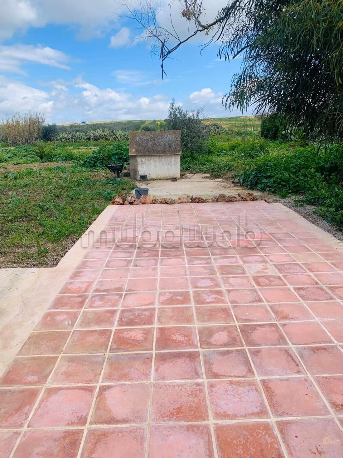 Ferme Vente Zaghouan Zaghouan Tunisie